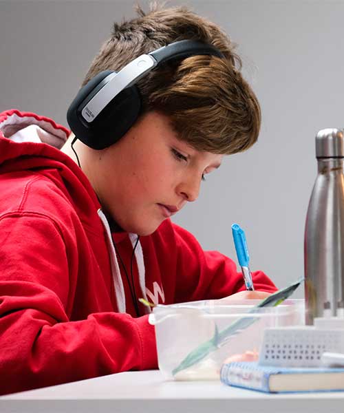 Advanced Excel & Data Analysis